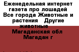 Еженедельная интернет - газета про лошадей - Все города Животные и растения » Другие животные   . Магаданская обл.,Магадан г.